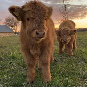 Meet your Posher, Nathan